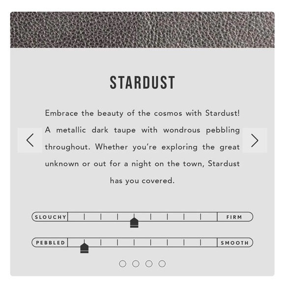 Portland Leather Lovebug Plus Wallet in Stardust 🎇 - Picture 5 of 7